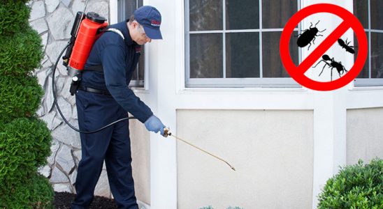 Karakeçili Böcek İlaçlama böcek ilaçlama ve haşere kontrolü — ilaclama-tr.com